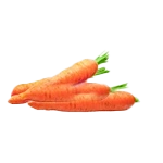 Carottes